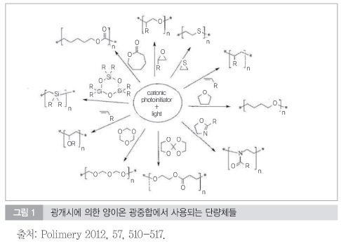 단량체의 종류